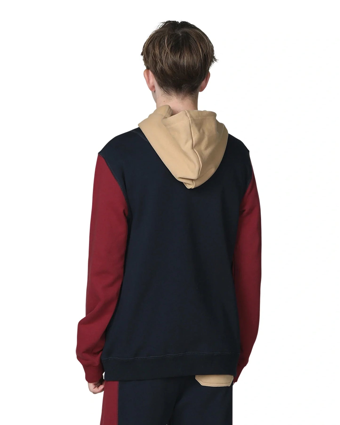 Boys fleece hoodie in multi colors showing the back view.