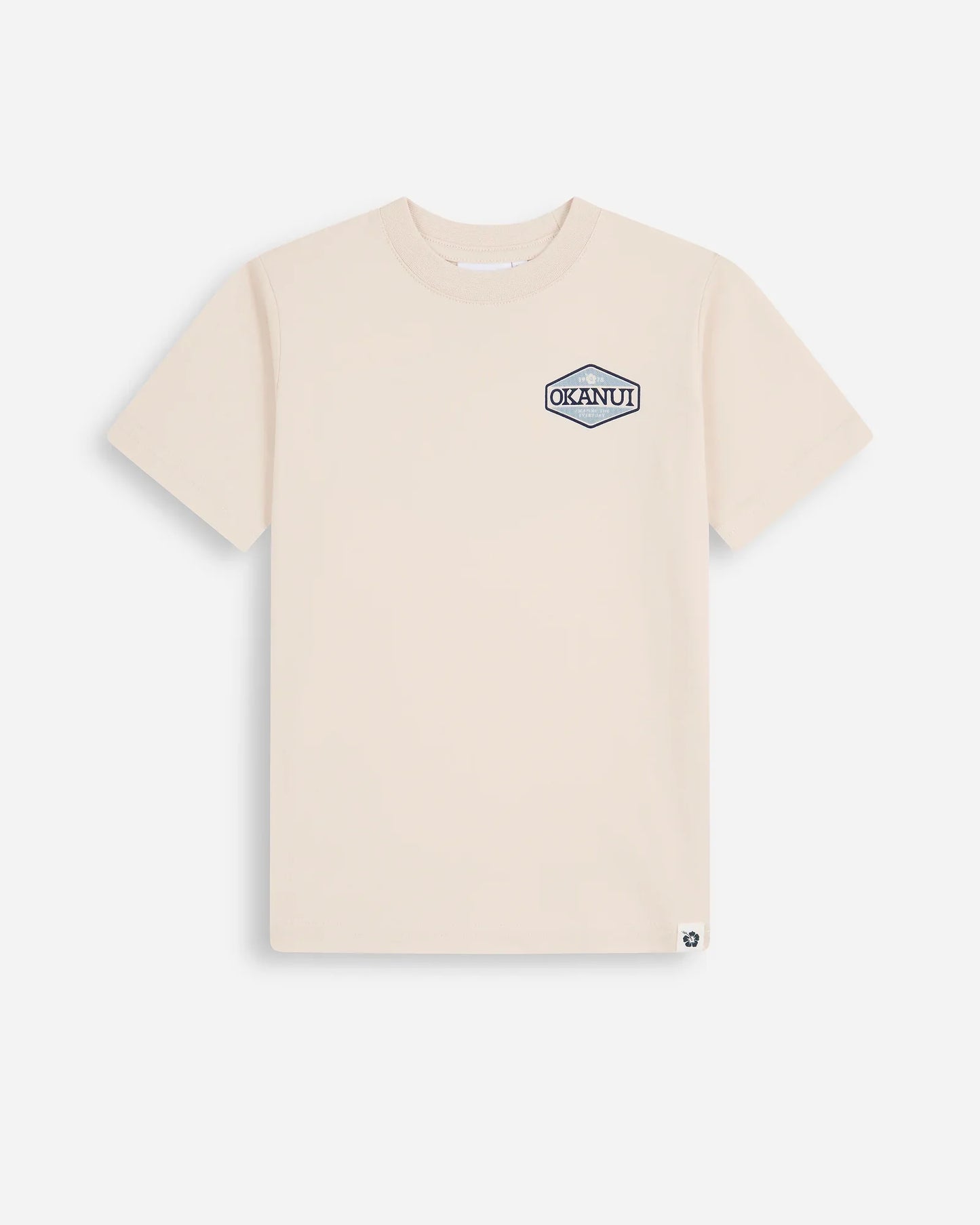 Boys Paragon T'Shirt - Stone
