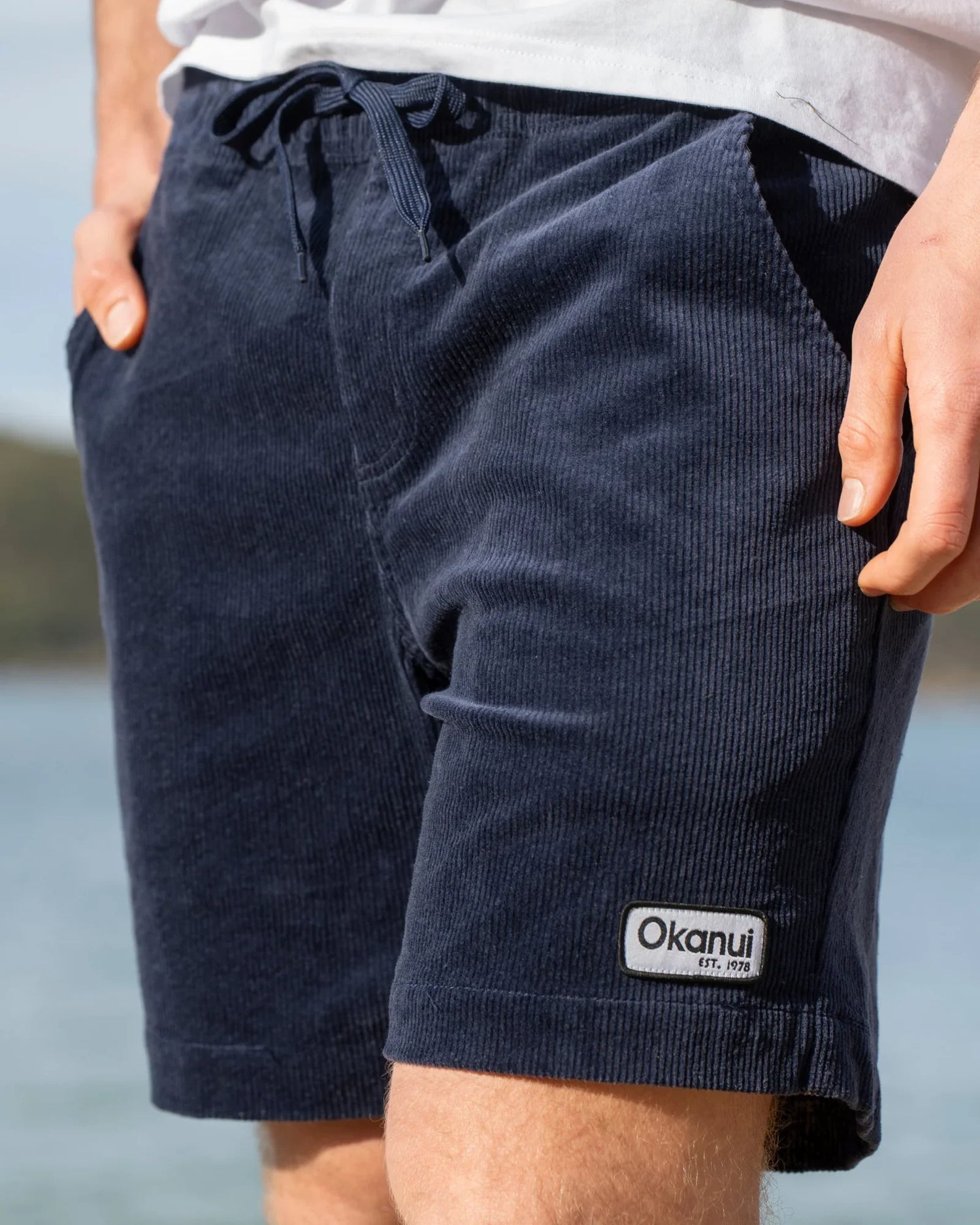 Father's Day Gifts Under $100