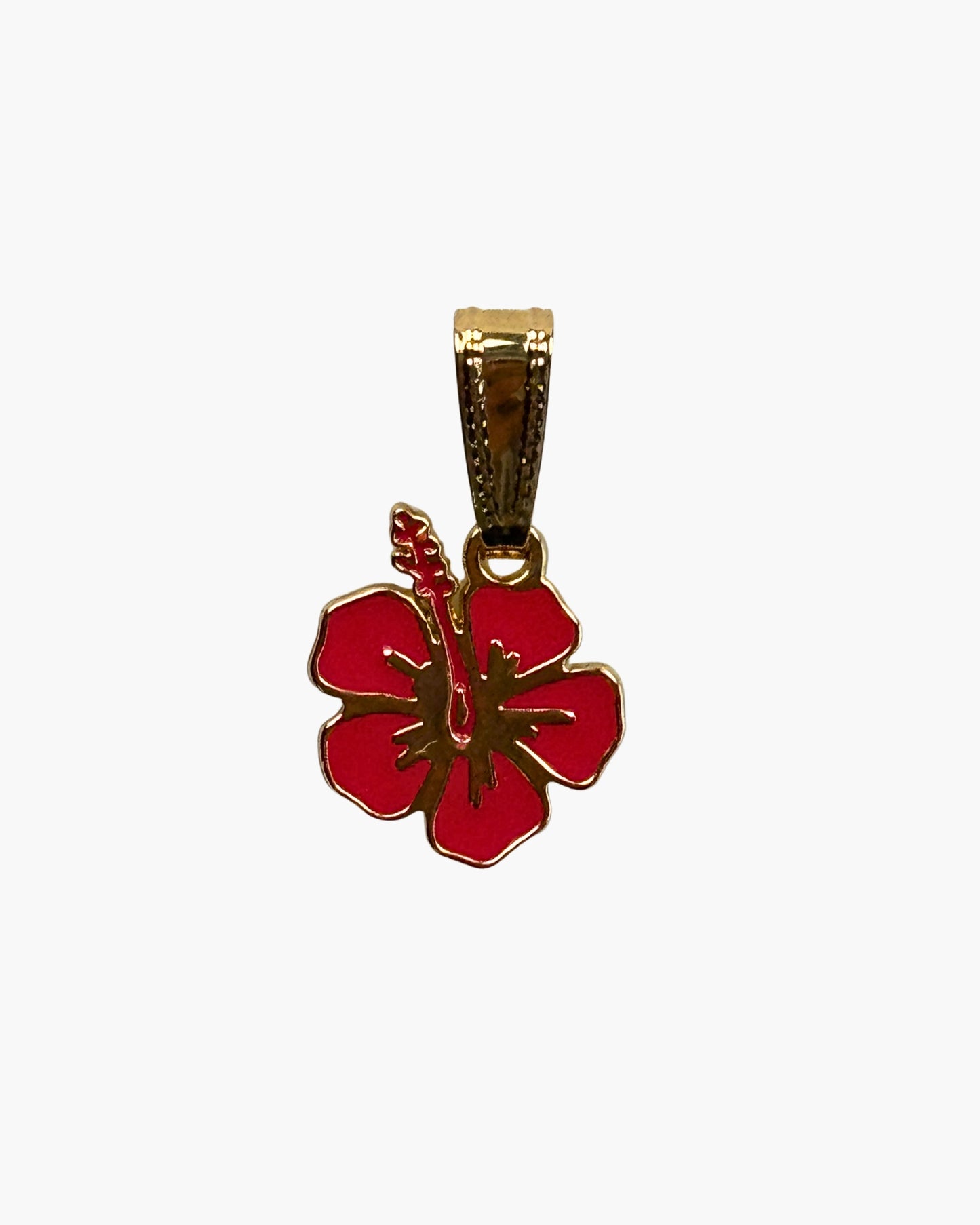 Hibiscus Charm