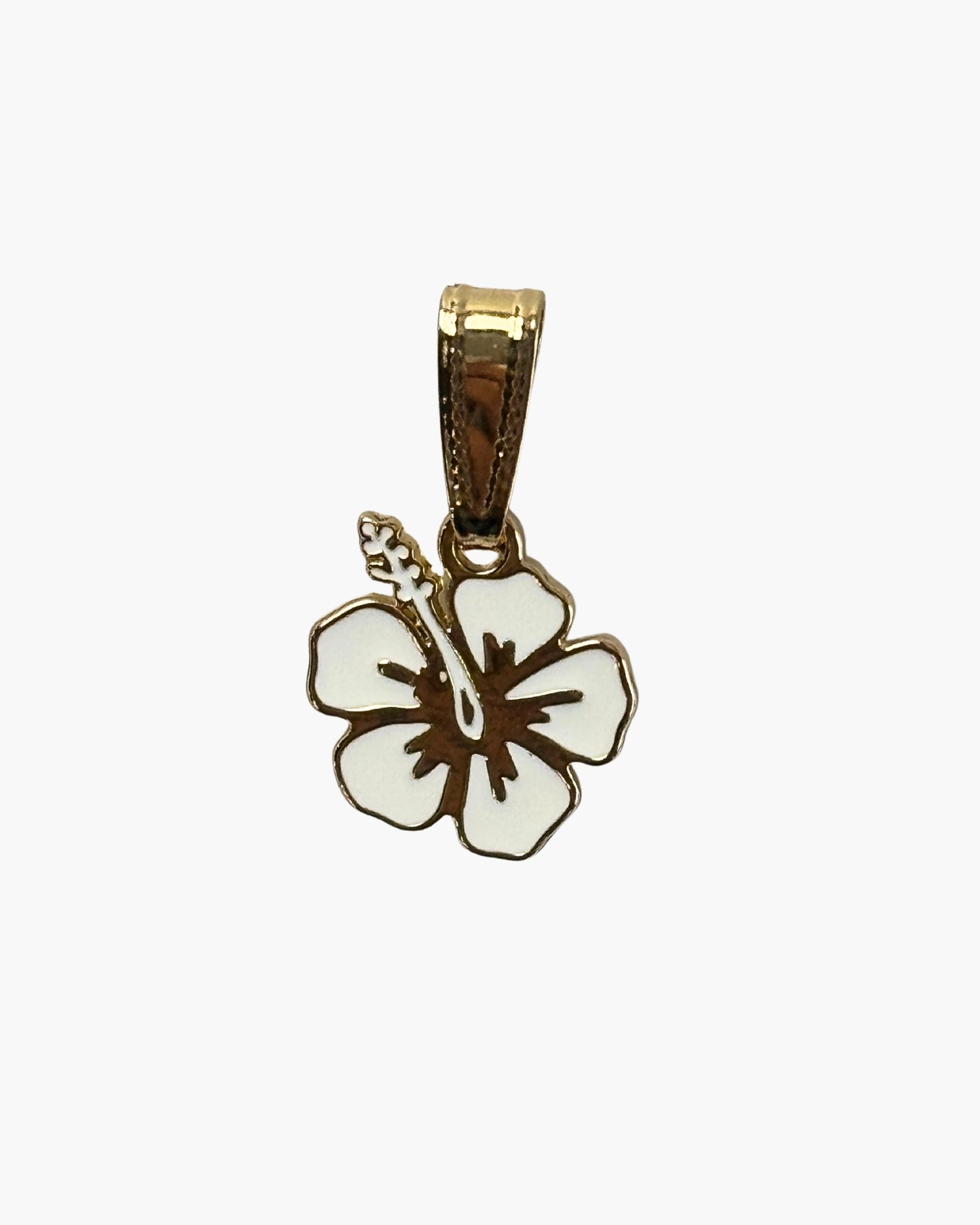 Hibiscus Charm