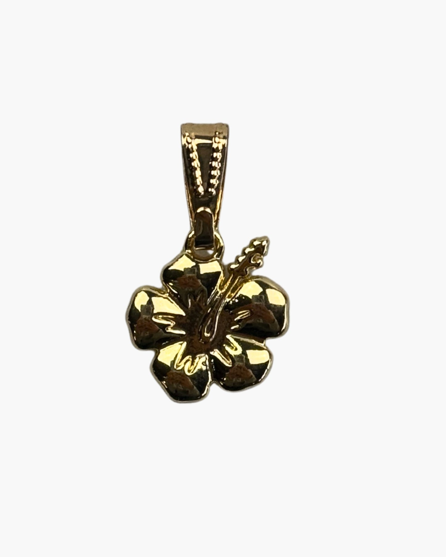 Hibiscus Charm