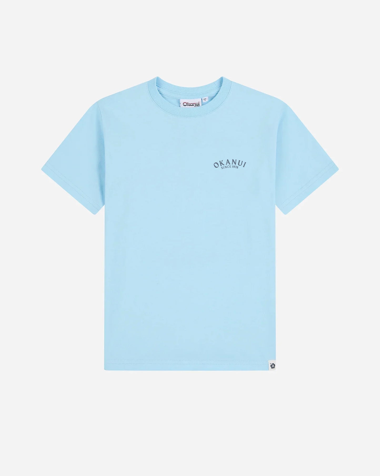 Boys Album T'Shirt - Washed Frost