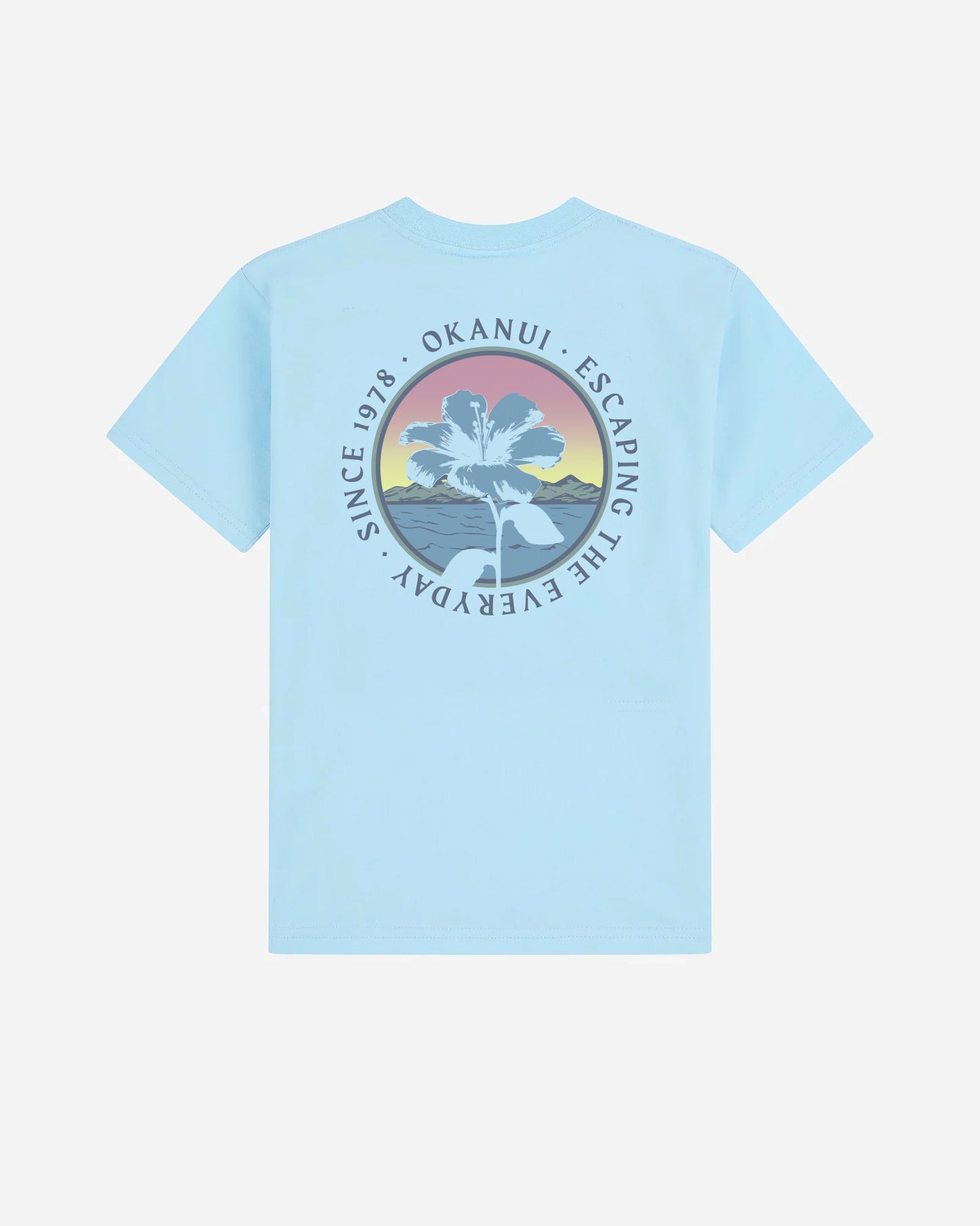Boys Album T'Shirt - Washed Frost
