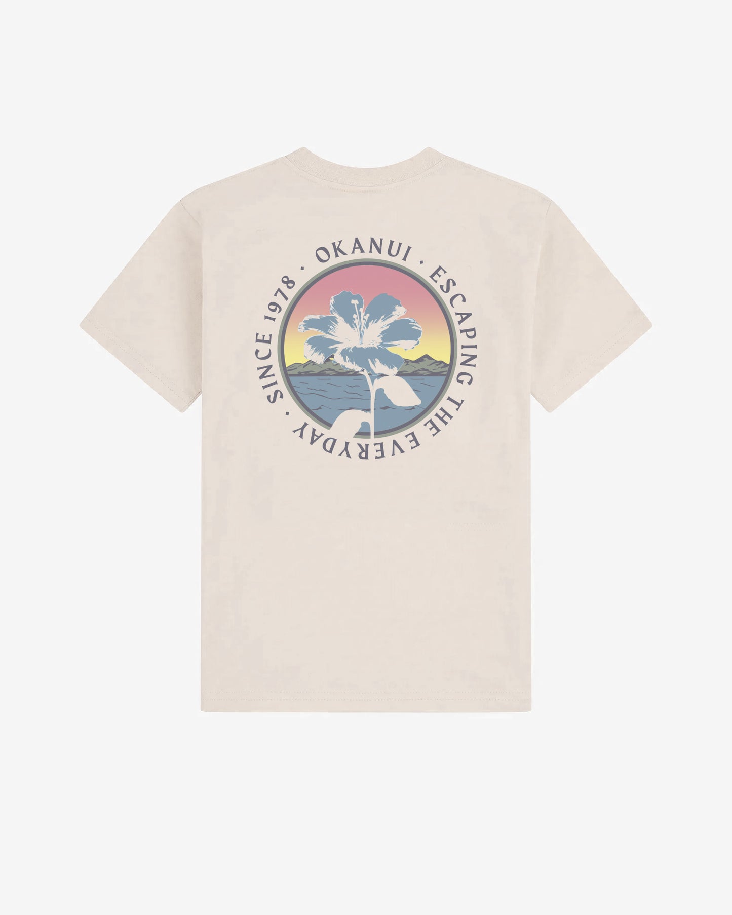 Boys Album T'Shirt - Washed Stone