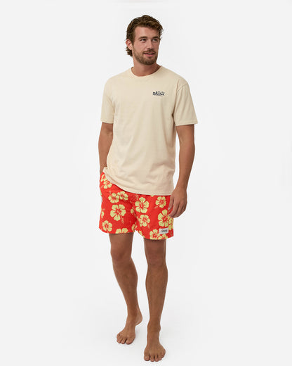 Mens Script T'Shirt - Stone