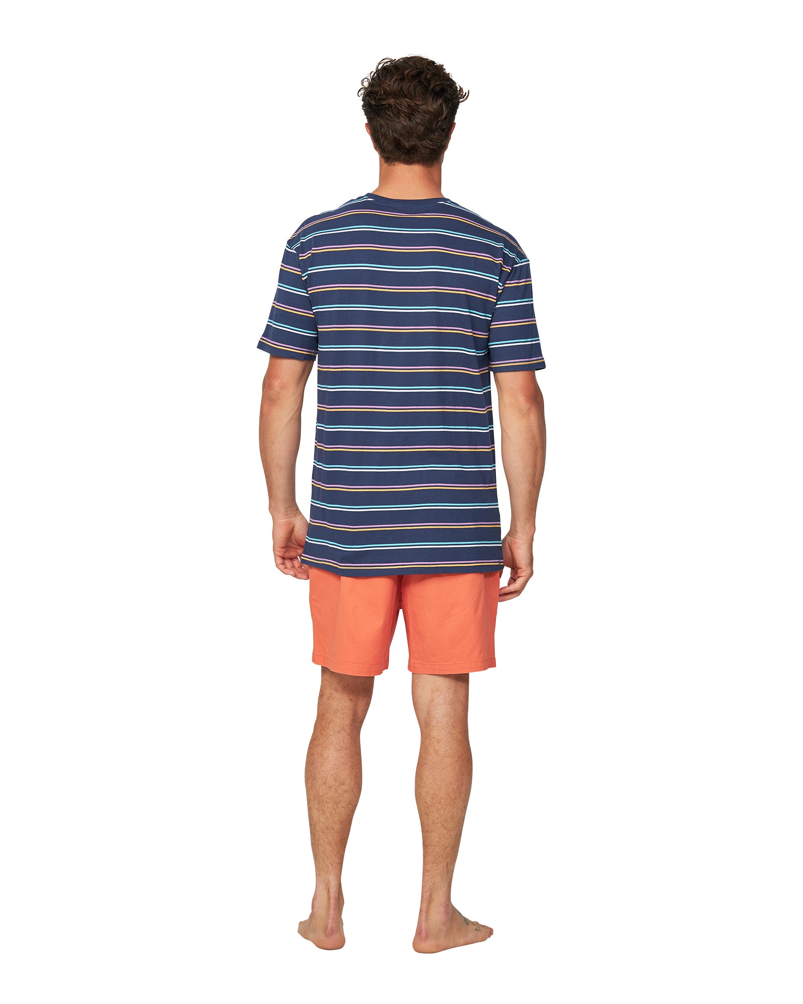 Mens - T-Shirt - Stripe Staple - Navy Multi