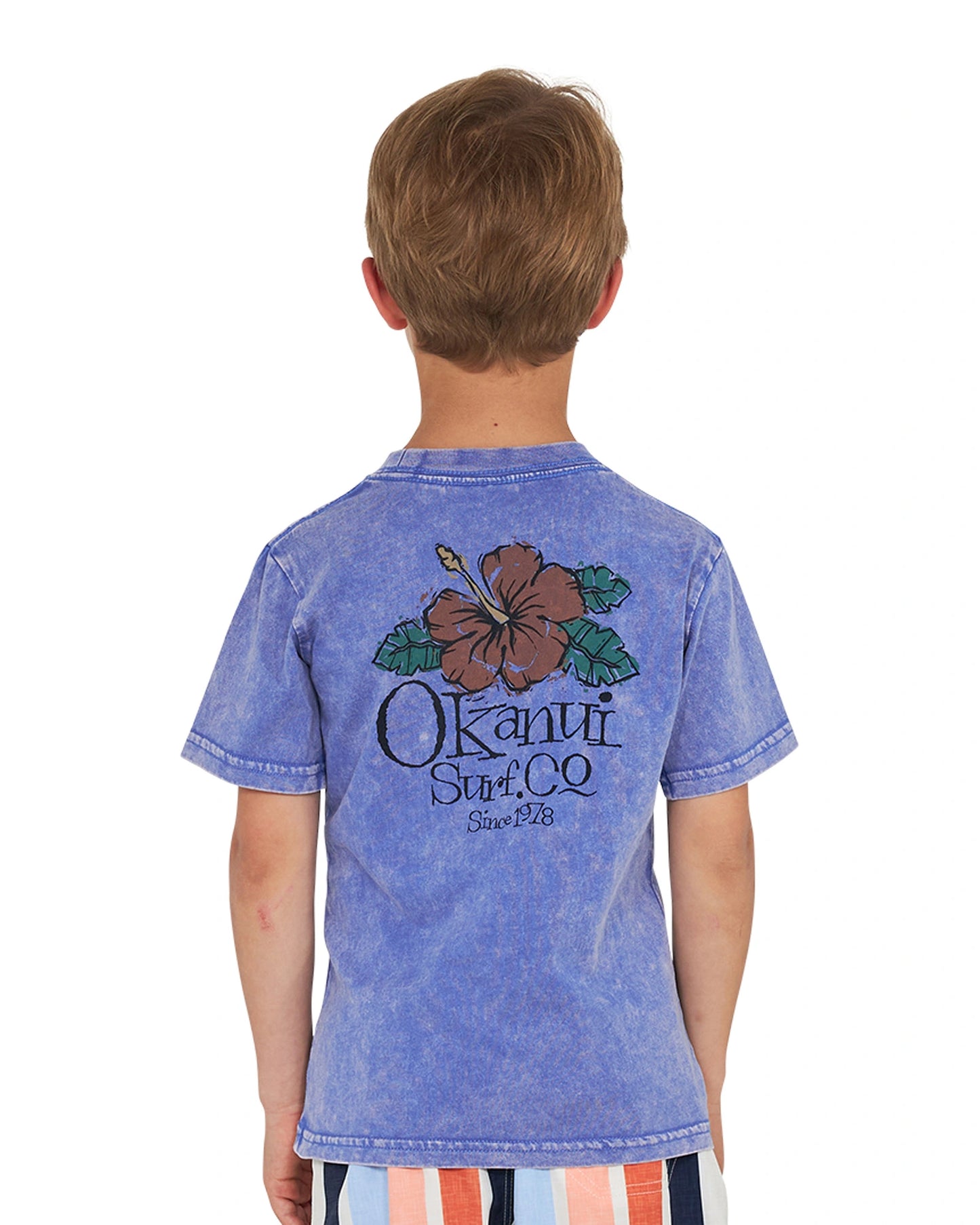 Closeup back view of a little boy wearing the Okanui Good Company Tee T-shirt in Washed Blue