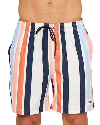 Mens - Stretch Swim Short - Above Board - Birch Multi