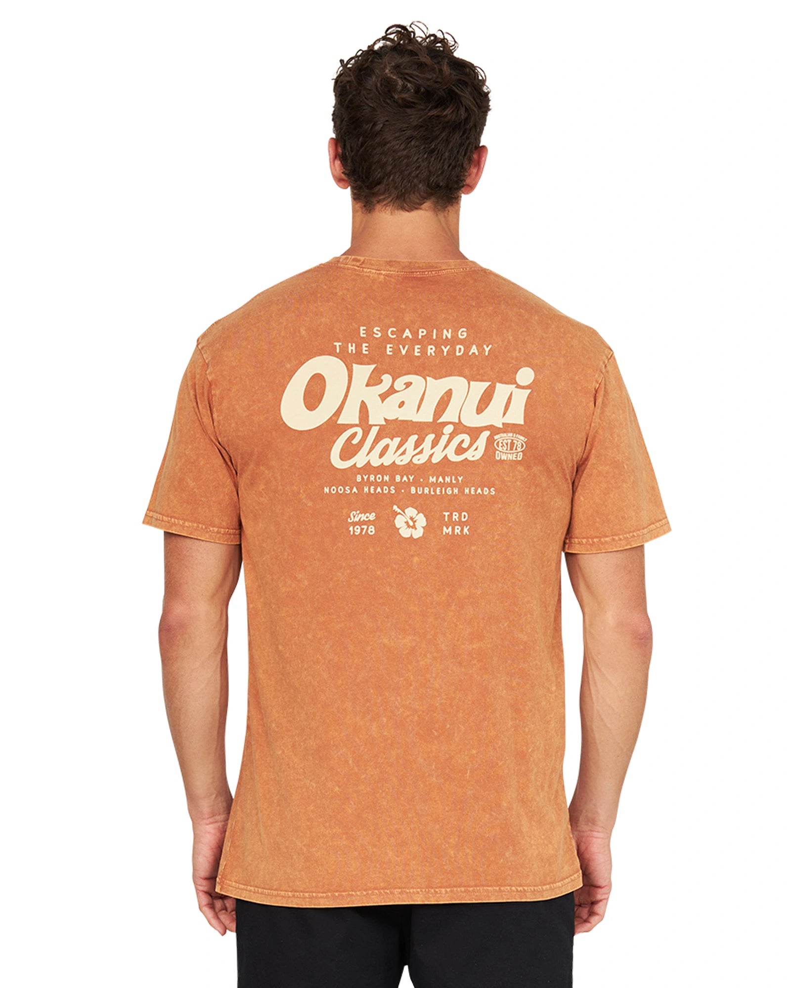 A male model showing the back print of  Okanui Big Screen T-Shirt in rust color.