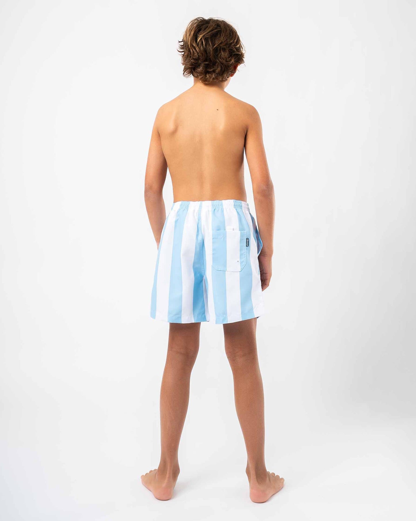 Boys Classic Stripe Swim Short - Ice White