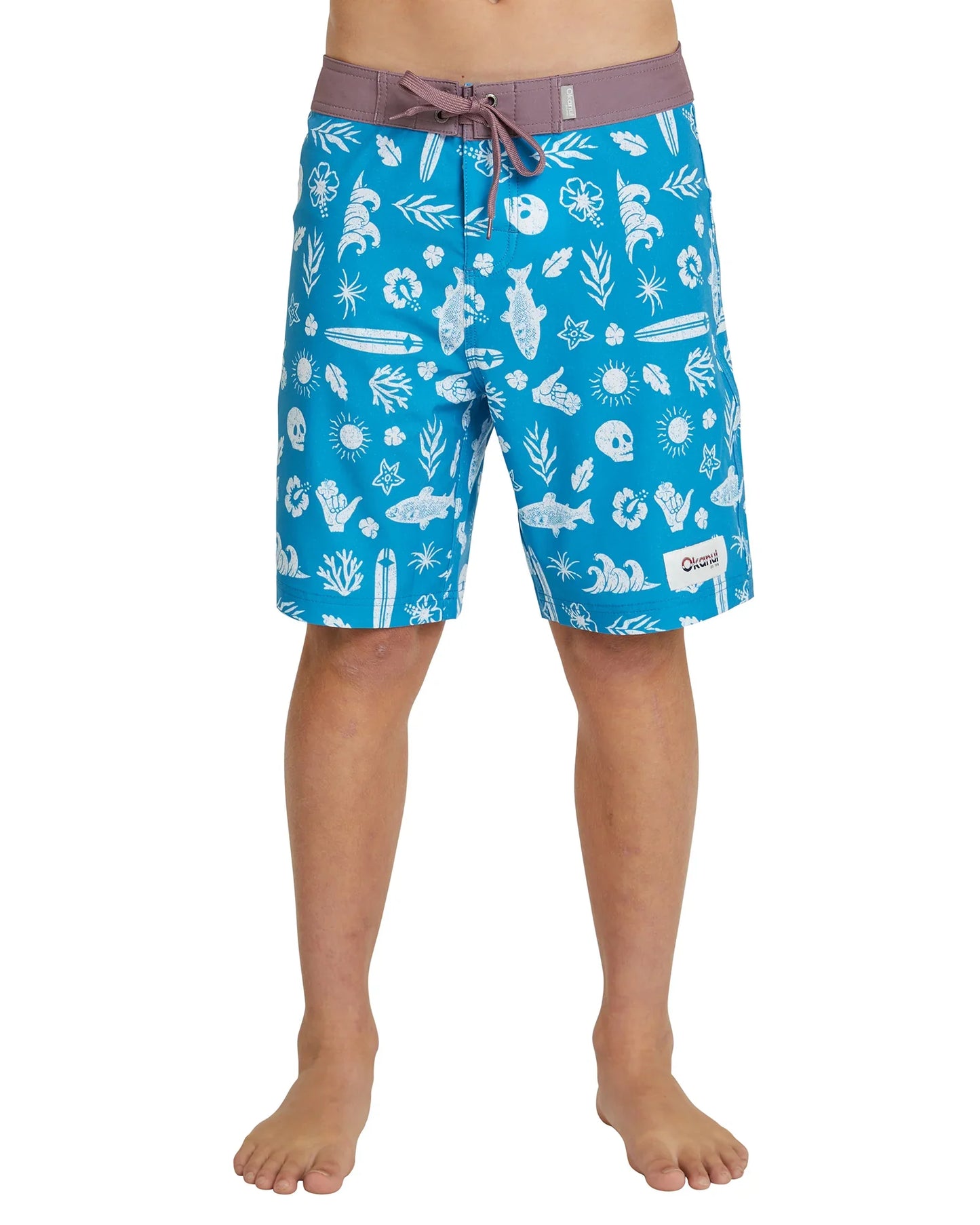Boys - Boardrider Boardshorts - Spare Parts - Blue