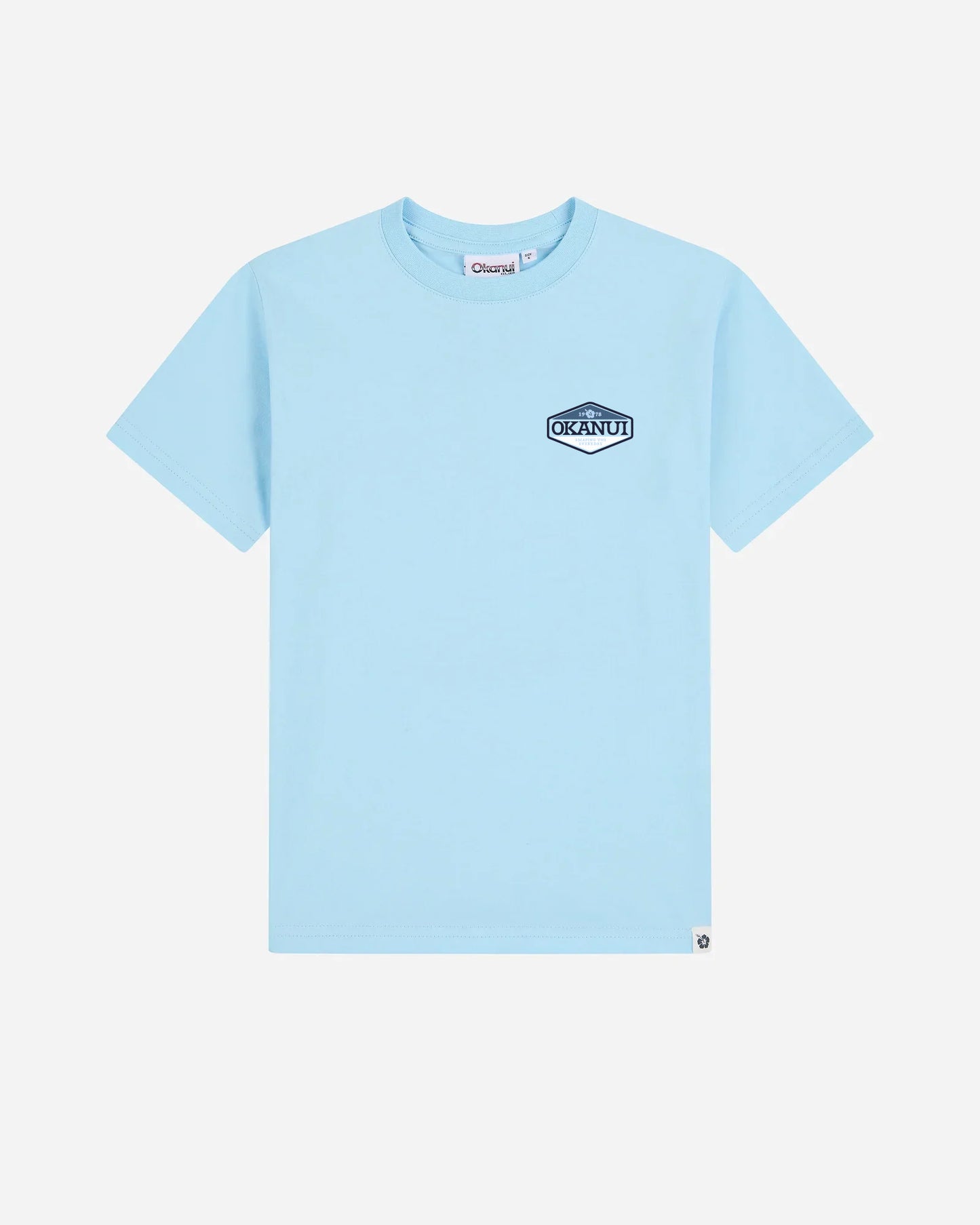 Boys Paragon T'Shirt - Frost