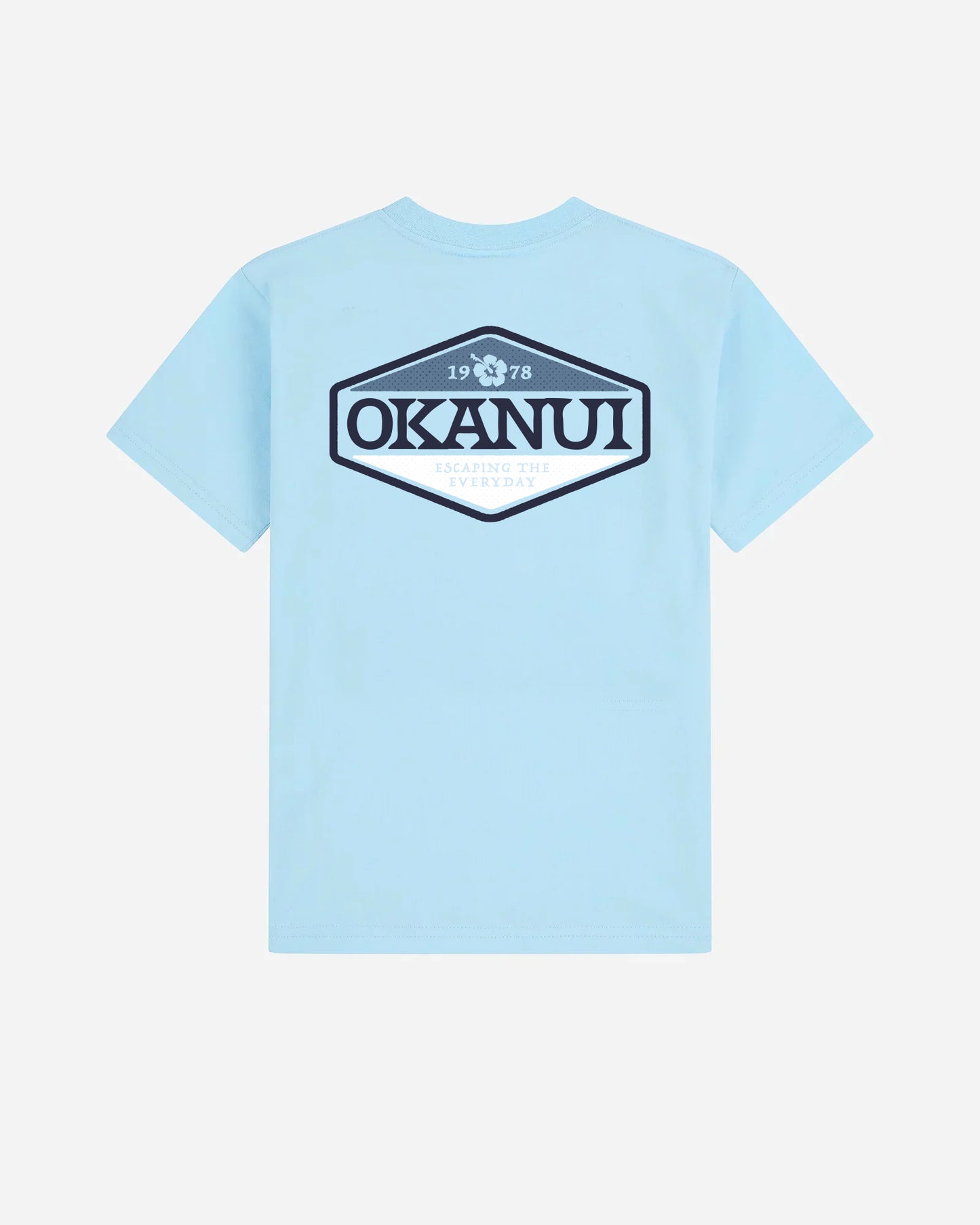 Boys Paragon T'Shirt - Frost