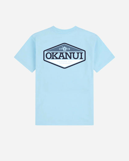 Boys Paragon T'Shirt - Frost