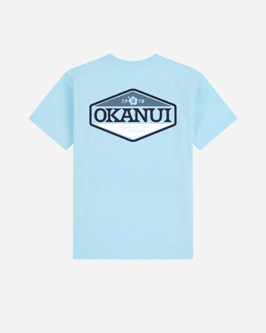 Boys Paragon T'Shirt - Frost