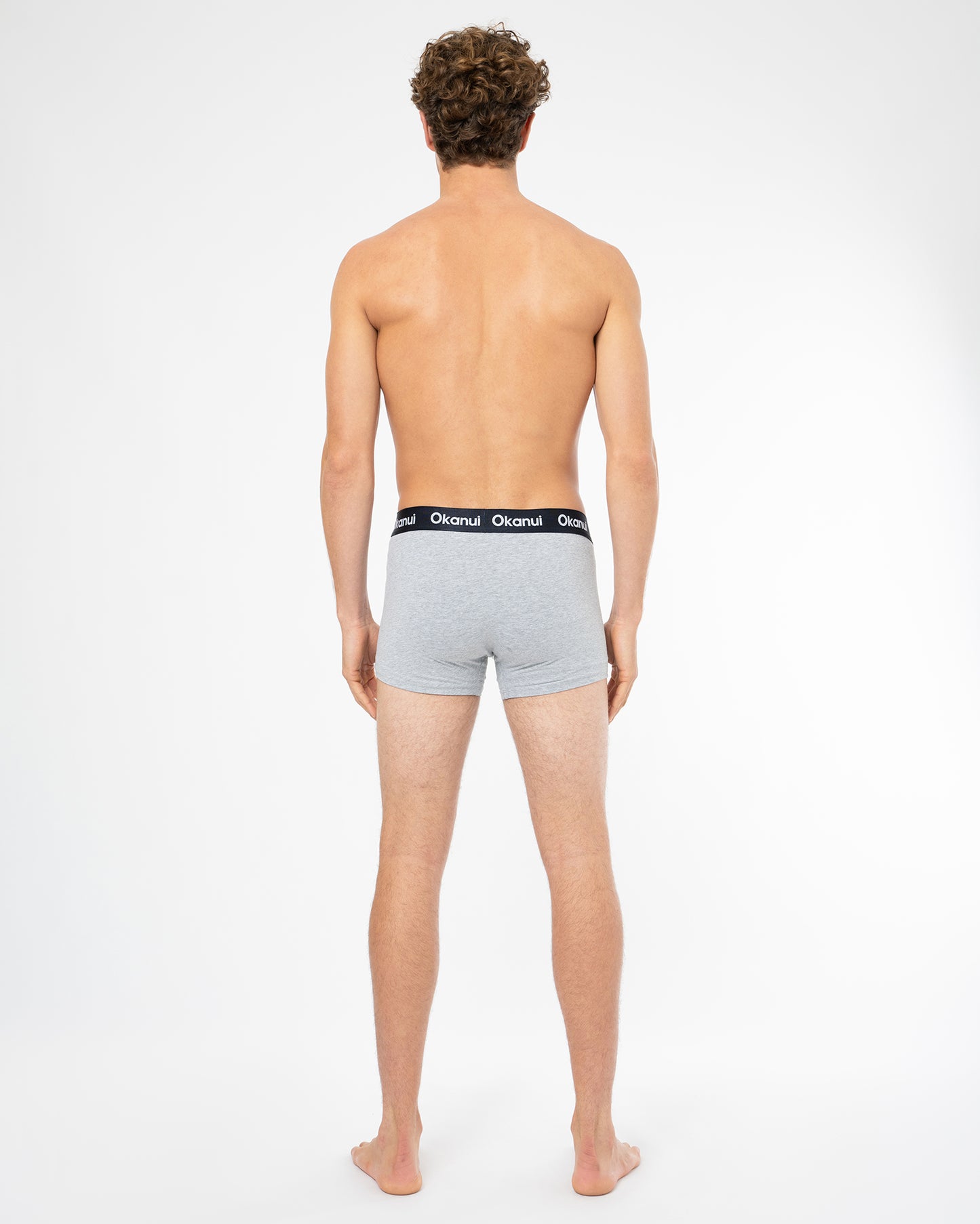 Mens Briefs - 3 Packs Navy Grey Marle Hibiscus Navy