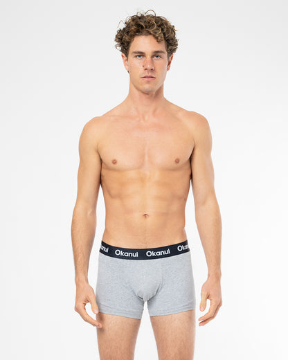Mens Briefs - 3 Packs Navy Grey Marle Hibiscus Navy