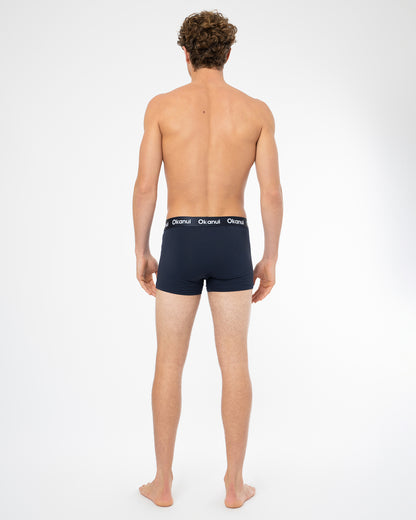 Mens Briefs - 3 Packs Navy Grey Marle Hibiscus Navy