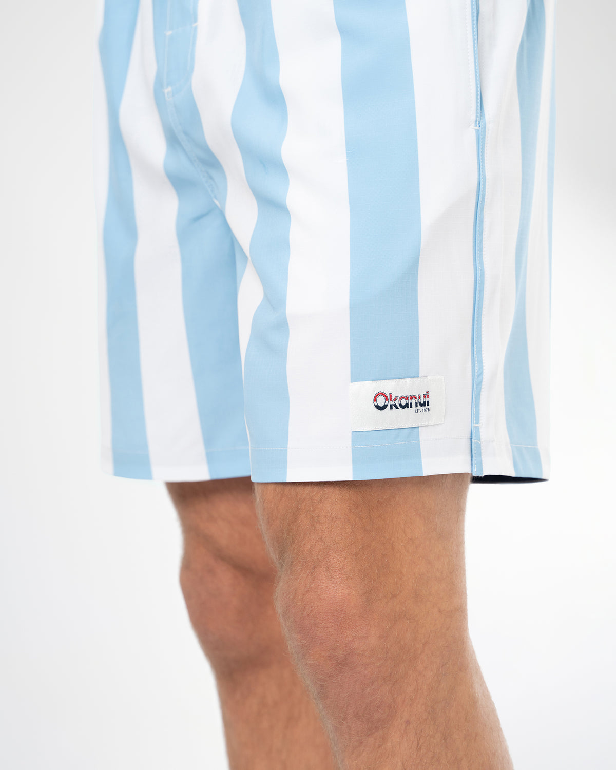 Mens Stripe Swim Short - Ice White