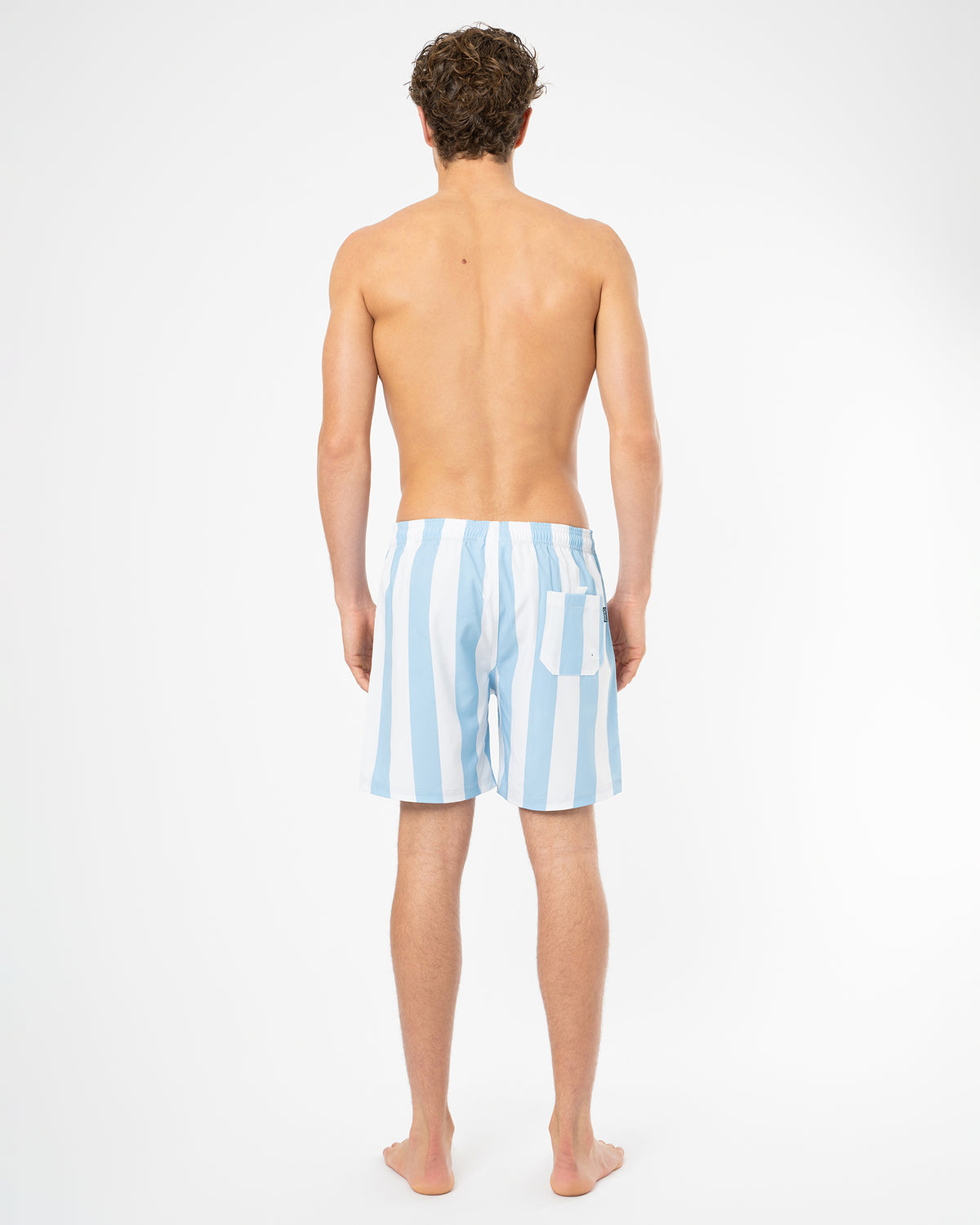 Mens Stripe Swim Short - Ice White
