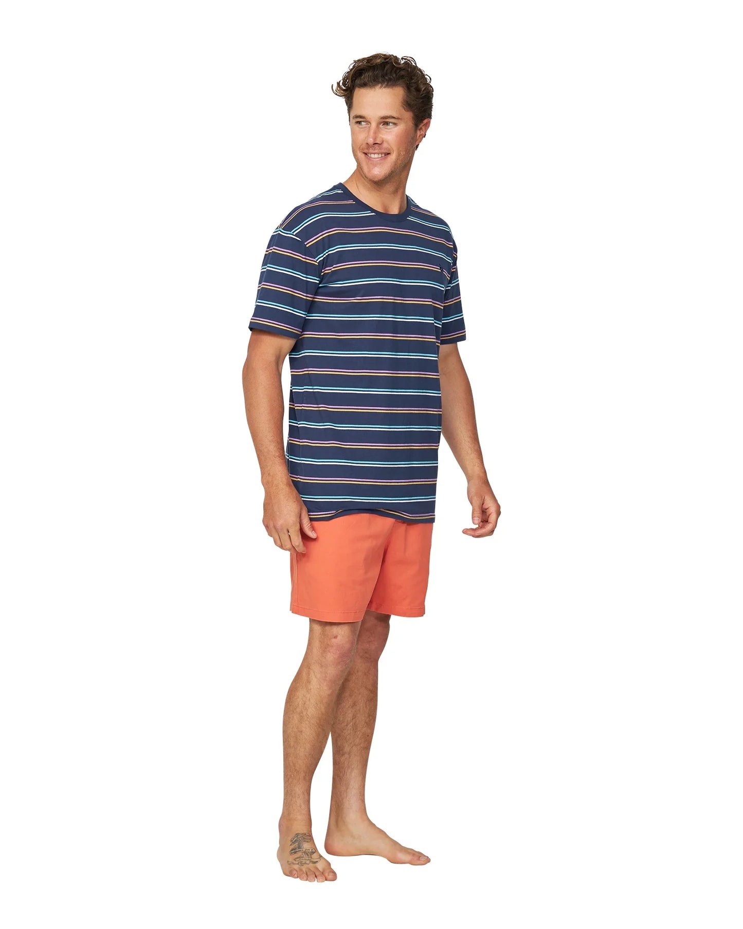 Mens - T-Shirt - Stripe Staple - Navy Multi